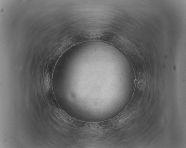 X0000064060866200601301236