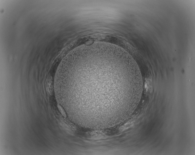 X0000064060867200601301236