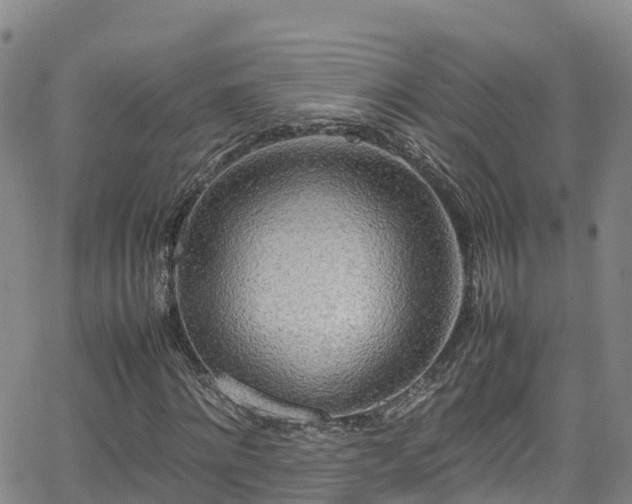 X0000064060868200601301236