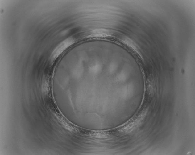 X0000064060874200601301236