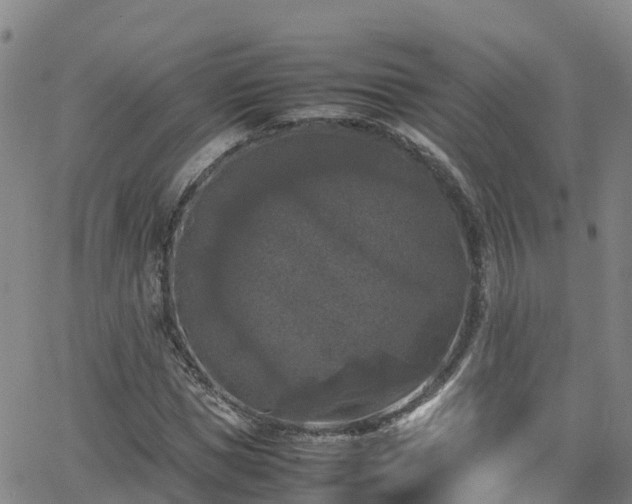 X0000064060921200601301235