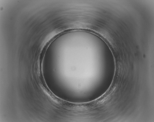 X0000064060982200601301234
