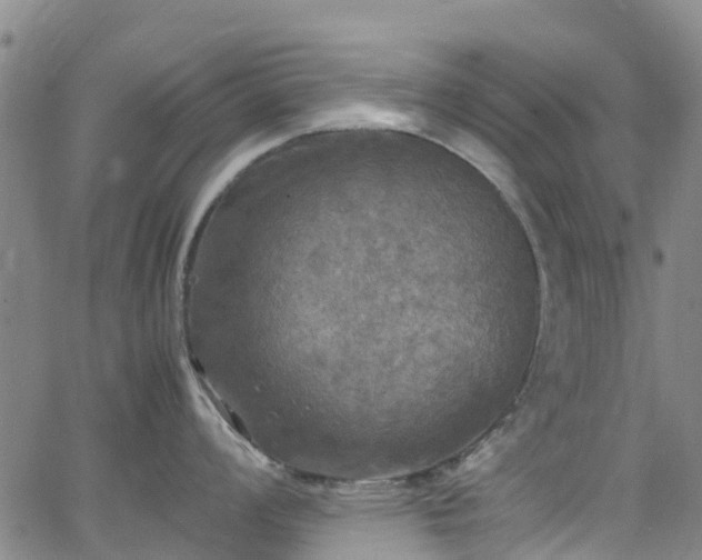 X0000064061008200601301234