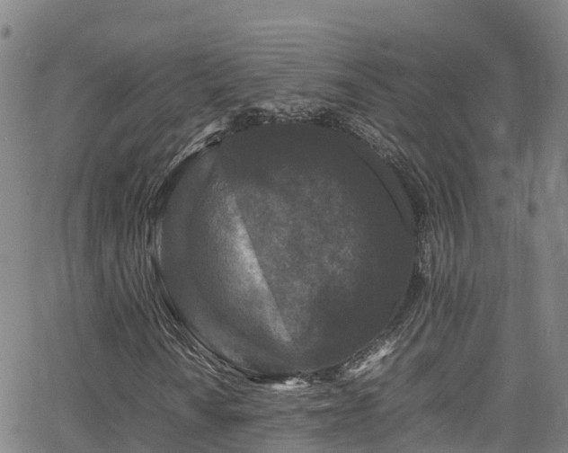 X0000064061010200601301233