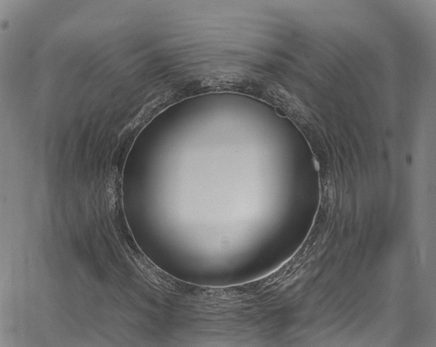 X0000064061012200601301233