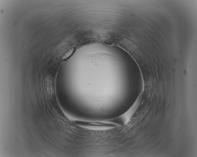 X0000064061058200601301233