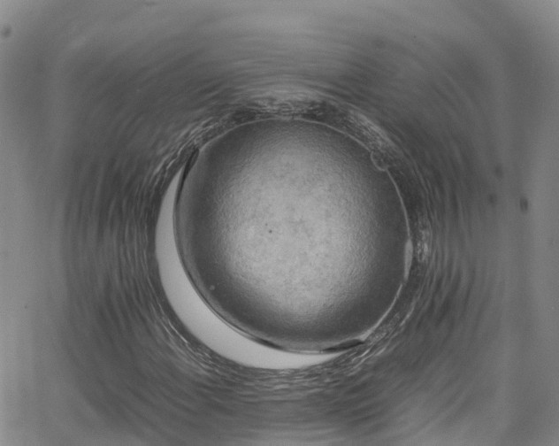 X0000064061108200601301231