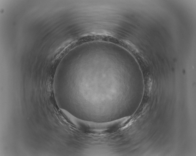 X0000064061110200601301231