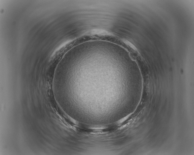 X0000064061112200601301231