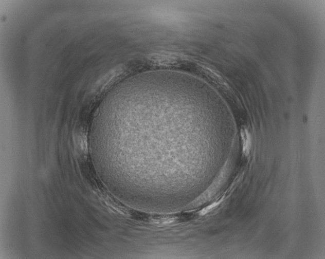 X0000064061155200601301231