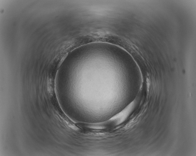 X0000064061156200601301231