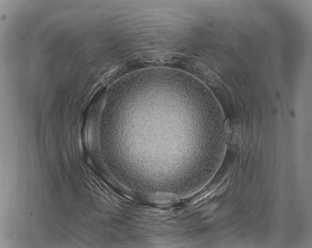 X0000064061202200601301230