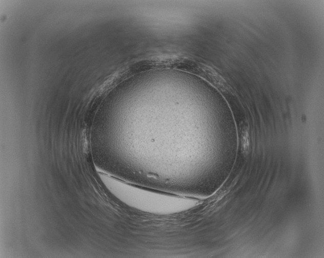 X0000064061204200601301230