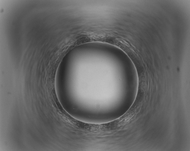 X0000064061345200601301228