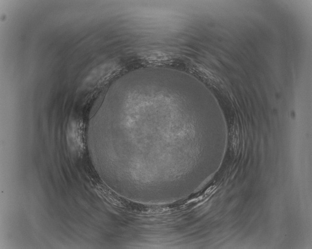 X0000064061346200601301228