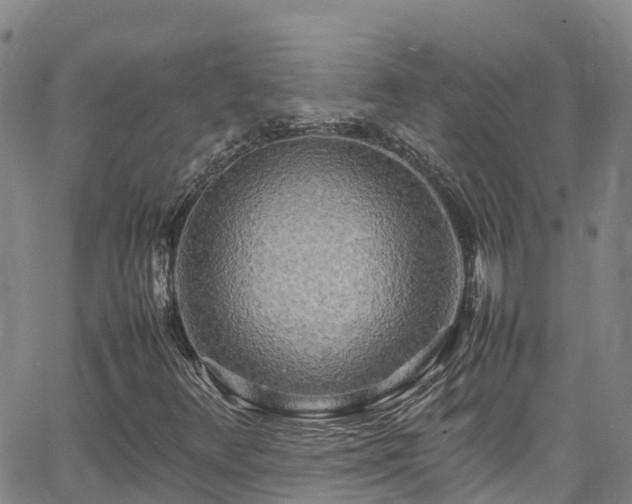 X0000064061348200601301228