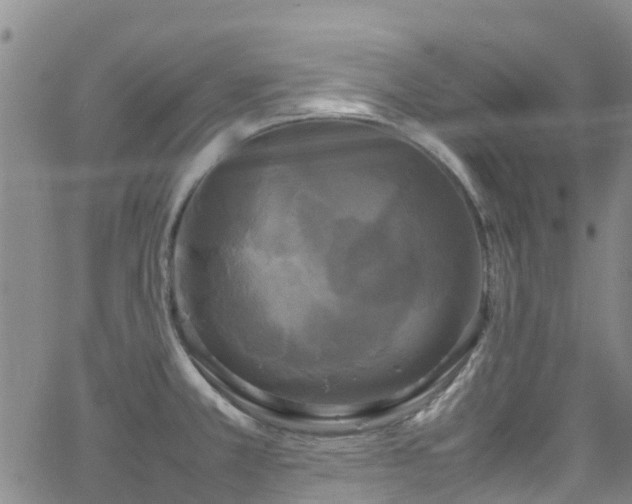X0000064061381200601301228