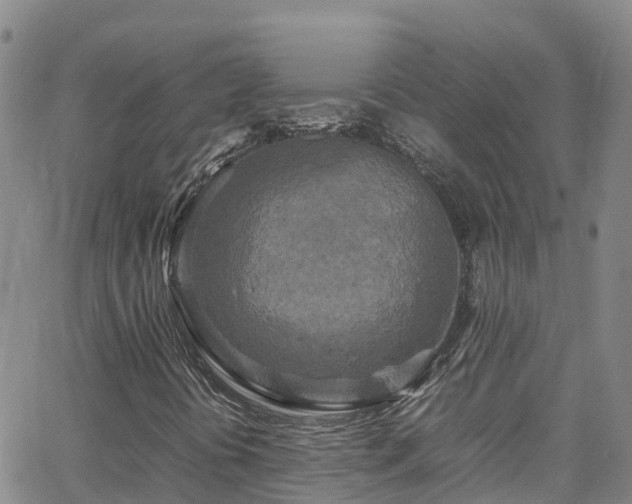 X0000064061394200601301227