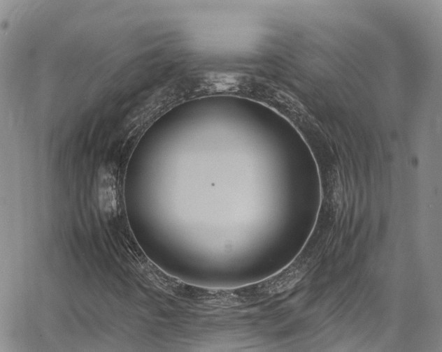 X0000064061442200601301227