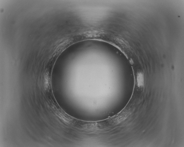 X0000064061444200601301227