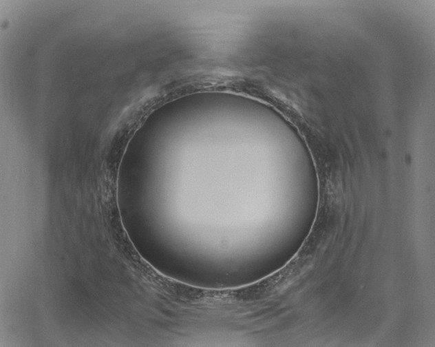 X0000064061447200601301227