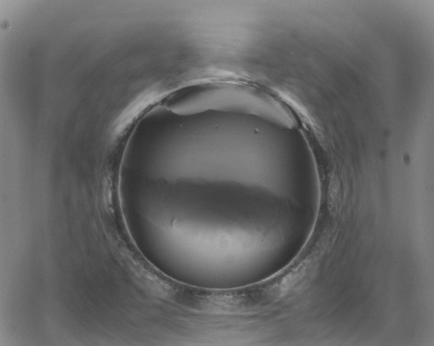 X0000064061455200601301226