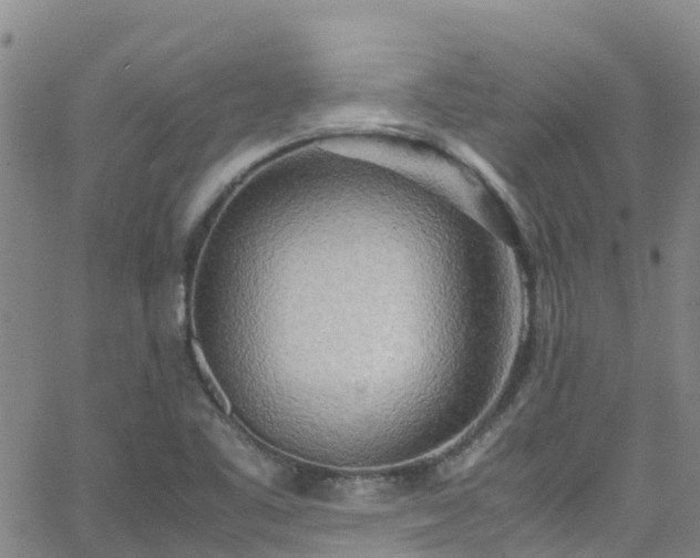 X0000064061461200601301226