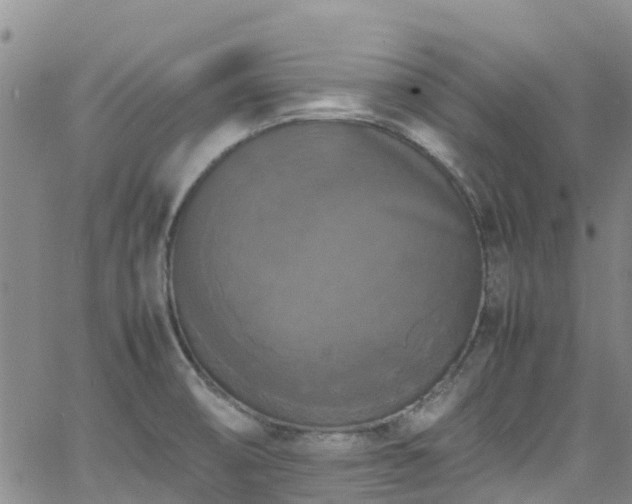 X0000064061474200601301226