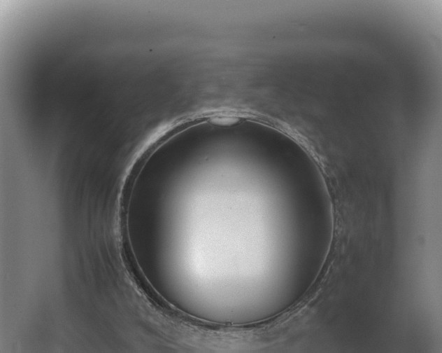 X0000064060008200602031701