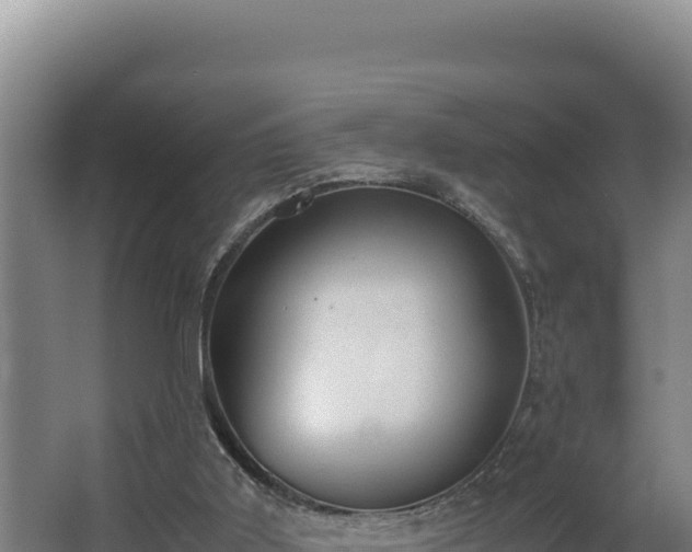 X0000064060011200602031701