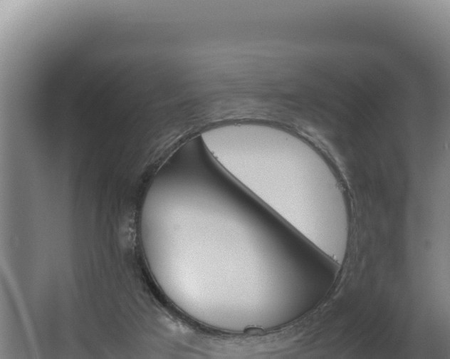X0000064060017200602031701