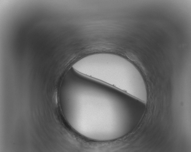 X0000064060021200602031701