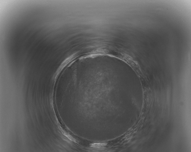 X0000064060051200602031700
