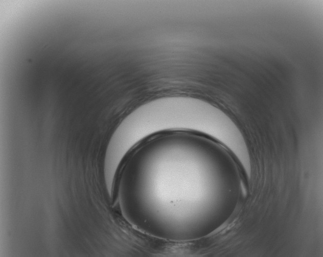 X0000064060078200602031700