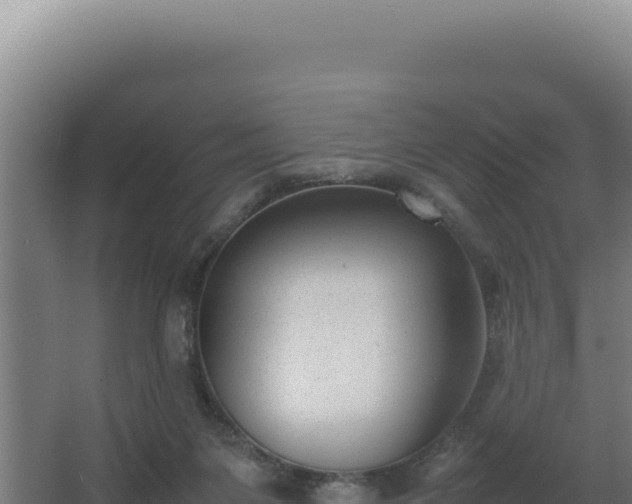 X0000064060119200602031700