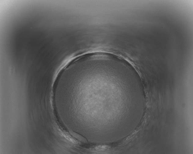 X0000064060152200602031658