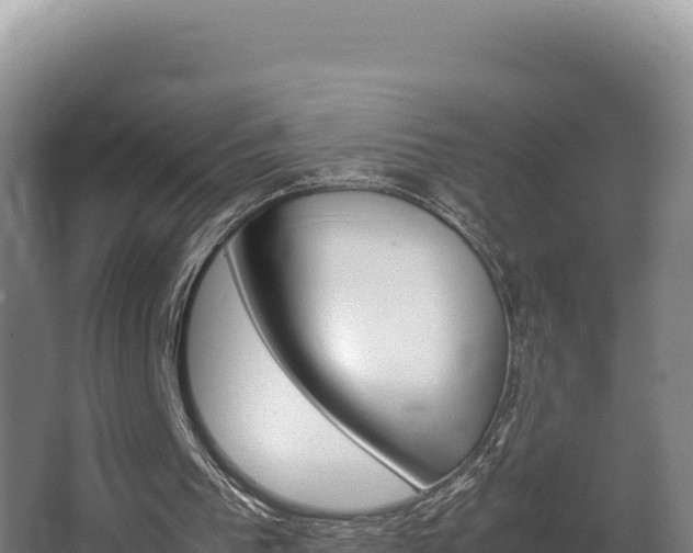X0000064060193200602031658