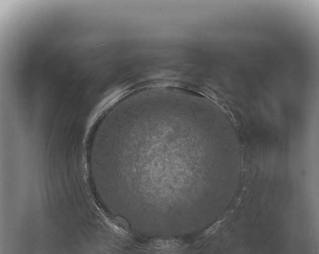 X0000064060245200602031657