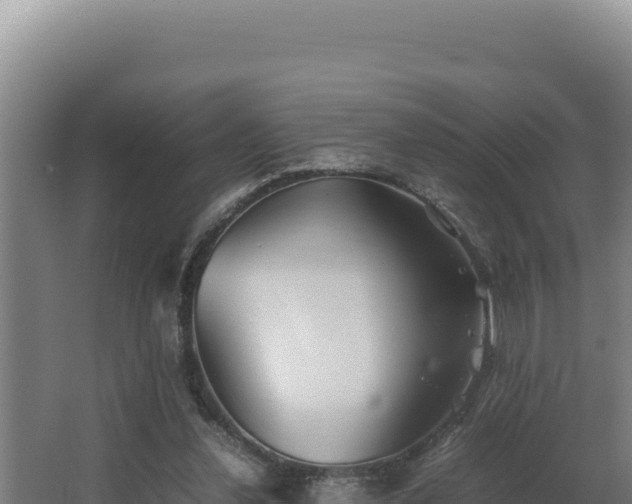 X0000064060252200602031657