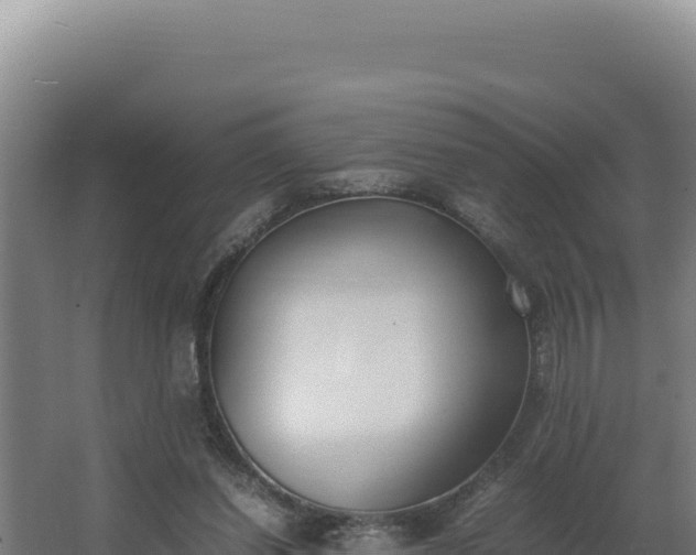 X0000064060254200602031657