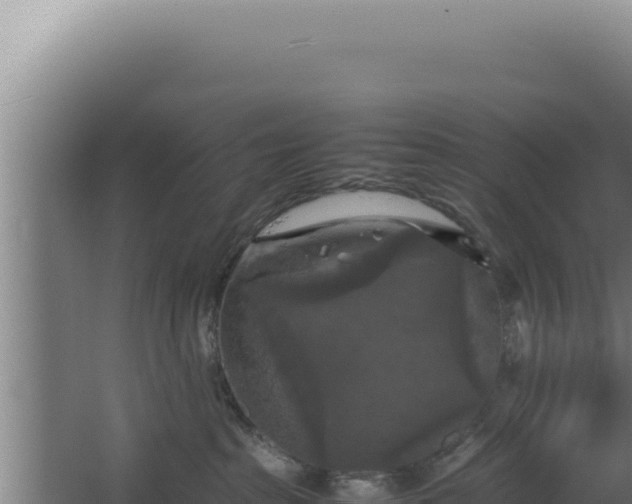 X0000064060285200602031657