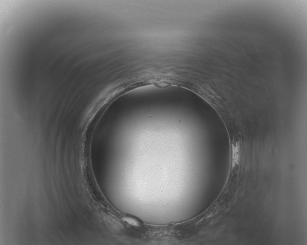 X0000064060291200602031657