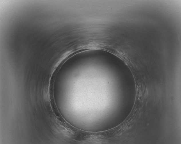 X0000064060292200602031657