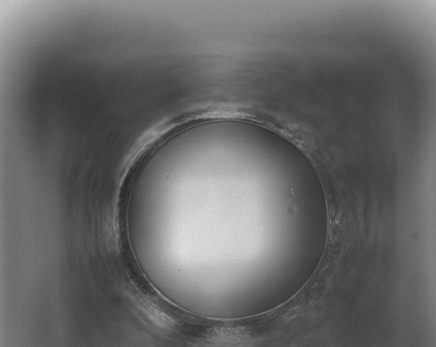 X0000064060296200602031657