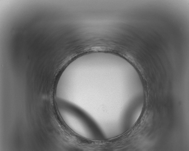 X0000064060297200602031657