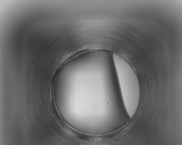 X0000064060301200602031656