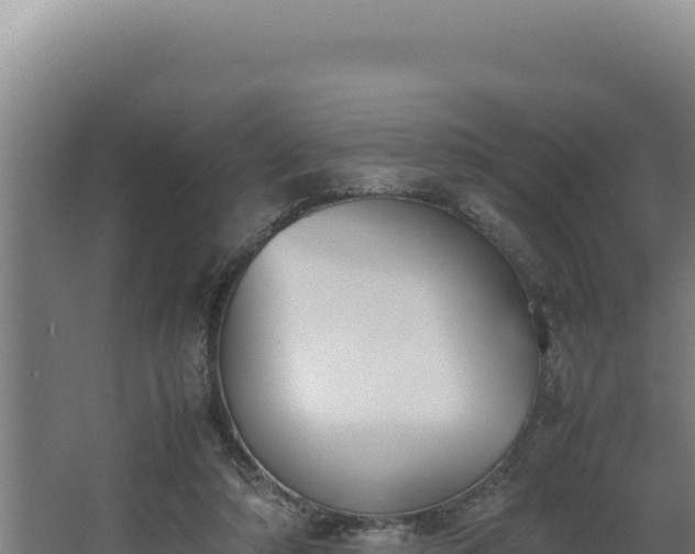 X0000064060306200602031656