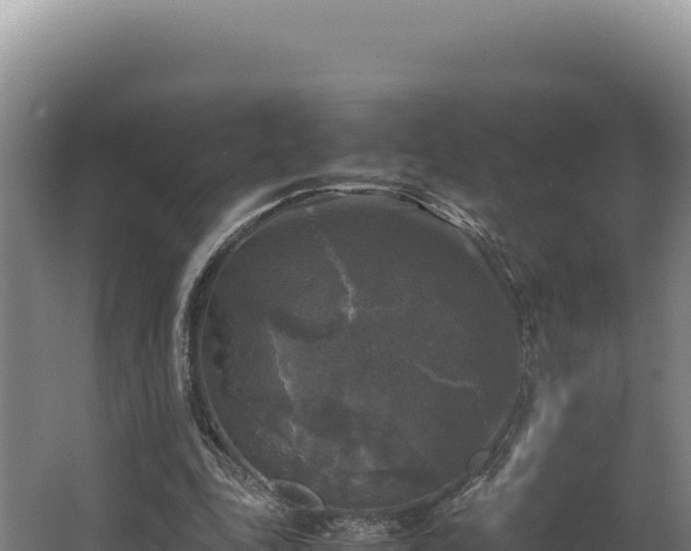 X0000064060343200602031655