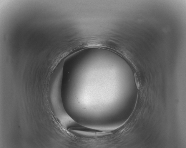 X0000064060385200602031655