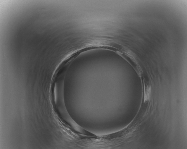 X0000064060387200602031655